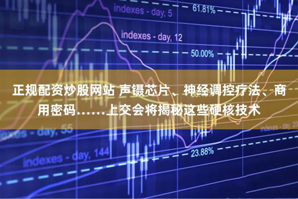 正规配资炒股网站 声镊芯片、神经调控疗法、商用密码……上交会将揭秘这些硬核技术