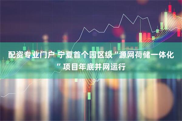 配资专业门户 宁夏首个园区级“源网荷储一体化”项目年底并网运行